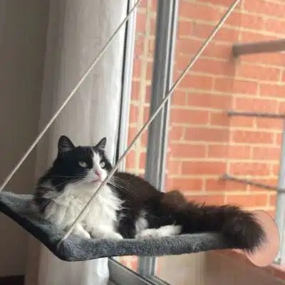 HAMACA PARA GATOS PORTATIL