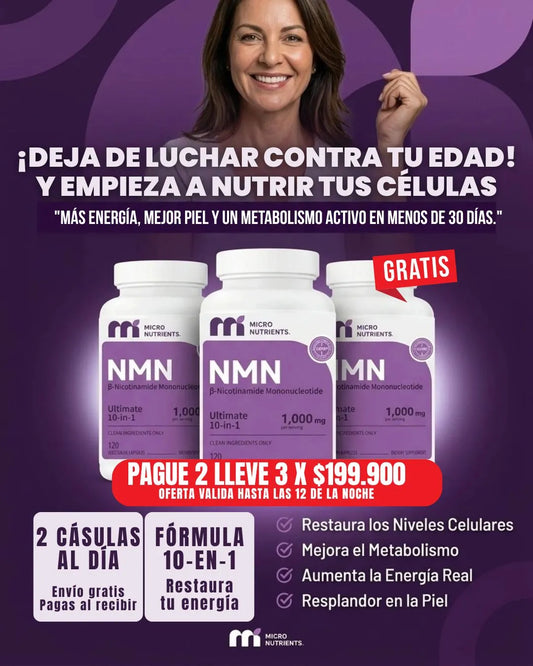 NMN 10 EN 1