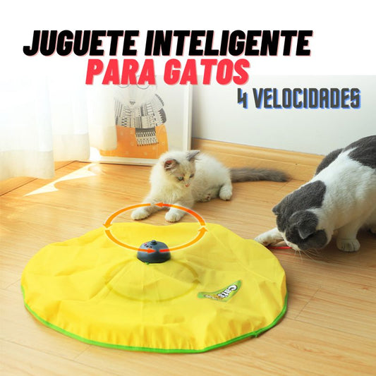 NOVEDOSO JUEGO INTERACTIVO PARA GATOS