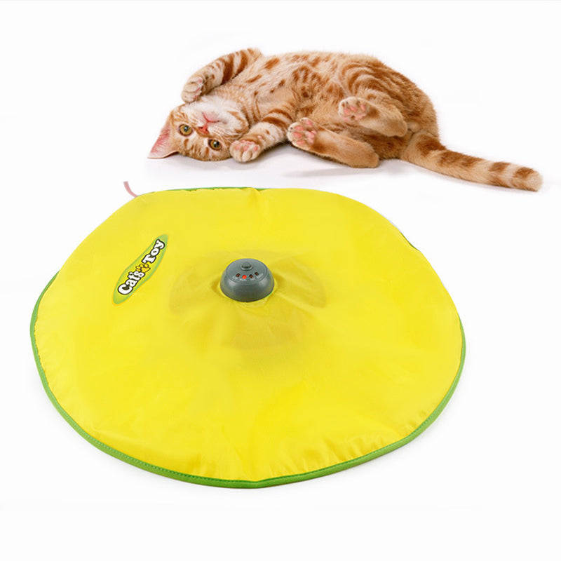 NOVEDOSO JUEGO INTERACTIVO PARA GATOS