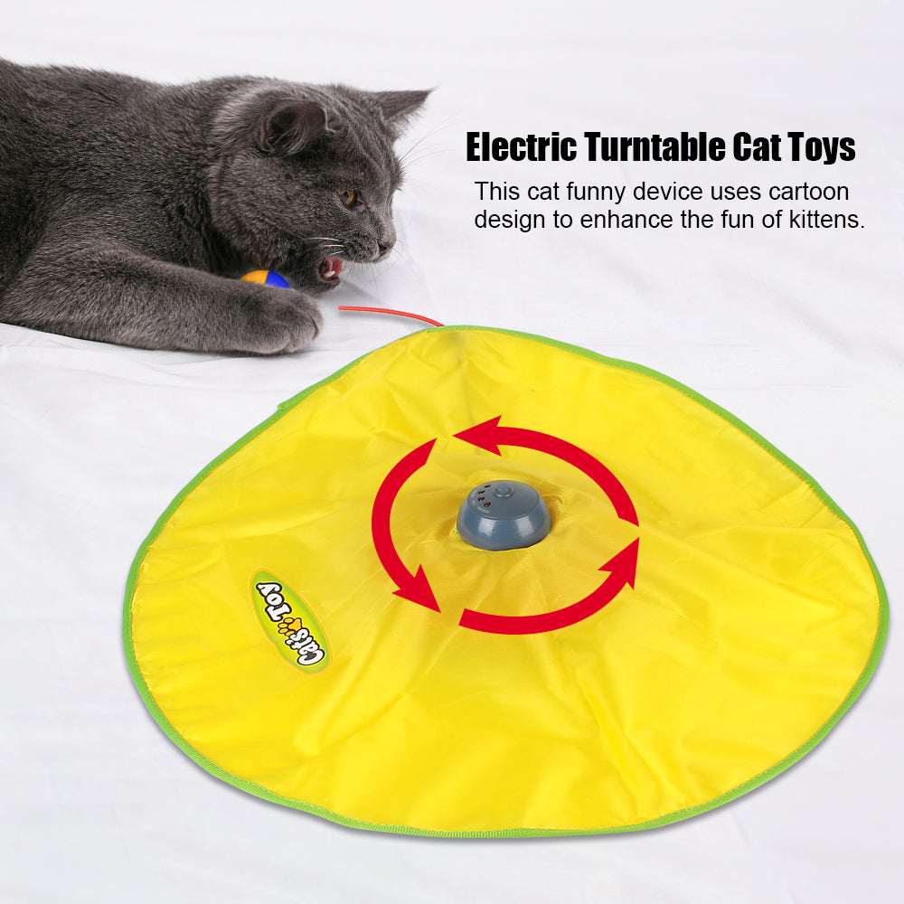 NOVEDOSO JUEGO INTERACTIVO PARA GATOS